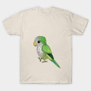 Very cute green parrot T-Shirt